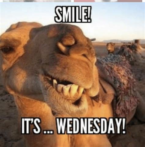 Wednesday Work Memes Positive: Your Ultimate Guide To Surviving The ...