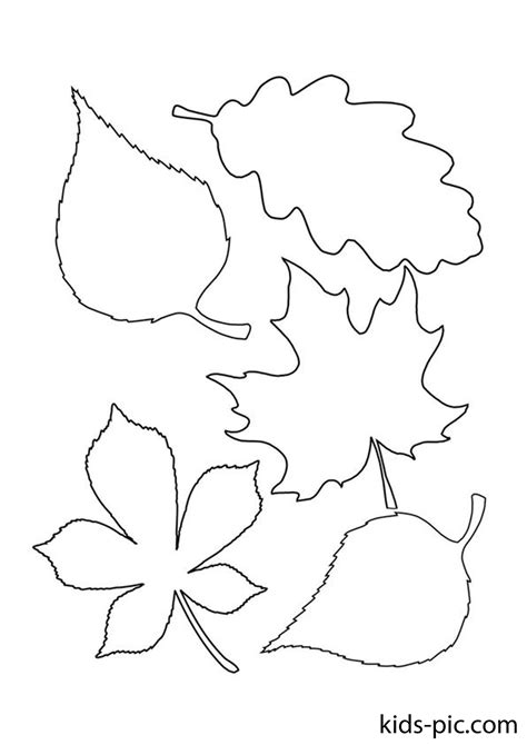 Fall Leaf Template
