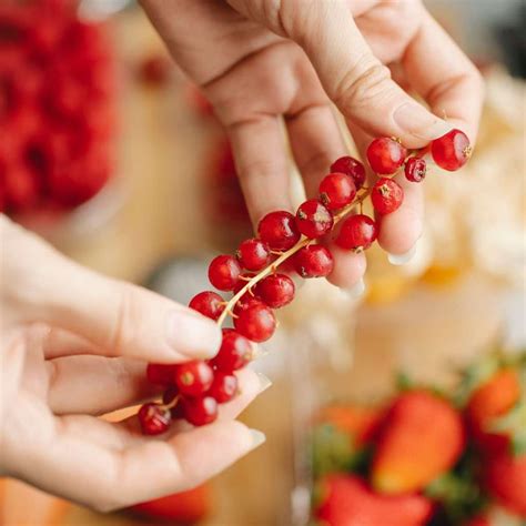 Can Chickens Eat Cranberries? Quick Facts for Chicken Owners