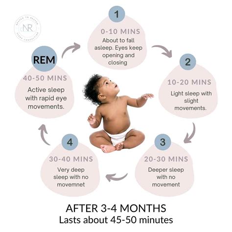 Your Ultimate Guide to Surviving the 4 Month Sleep Regression — Baby ...