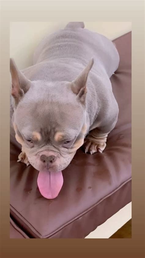 Mbeezy (@gball_xotics_) • Instagram photos and videos