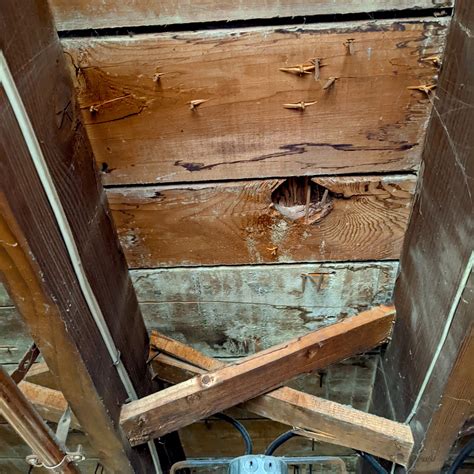 How To Make Floor Joist Cross Bracing | Viewfloor.co