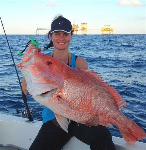 Fishing Red Snapper Fish Species