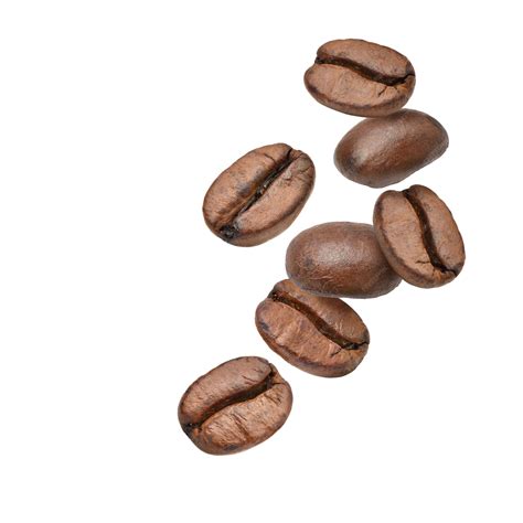 Coffee Bean White Background