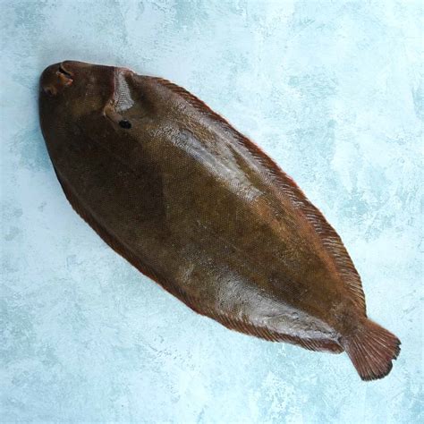 Buy Dover Sole Online | Whole Fish | Next Day Delivery - The Fish Society