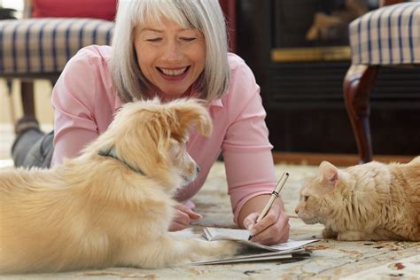 Vets for Pets Clacton on Sea