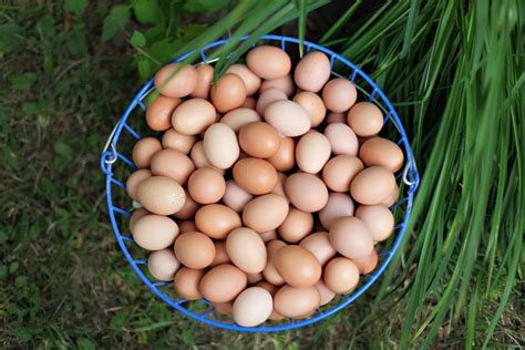 Menu - Farmers Kitchen & Bar