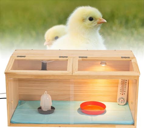 Amazon.com: Chicken Brooder Box Intelligent Sliding-Door Chick Brooder ...