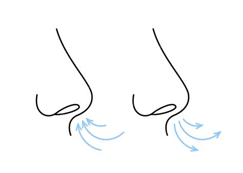 Female Nose Drawing Side View