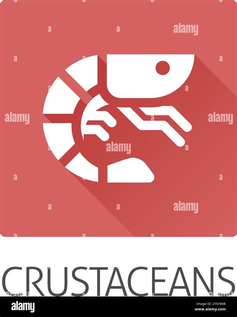 Prawn Shrimp Crustacean Food Allergen Allergy Icon Stock Vector Image ...