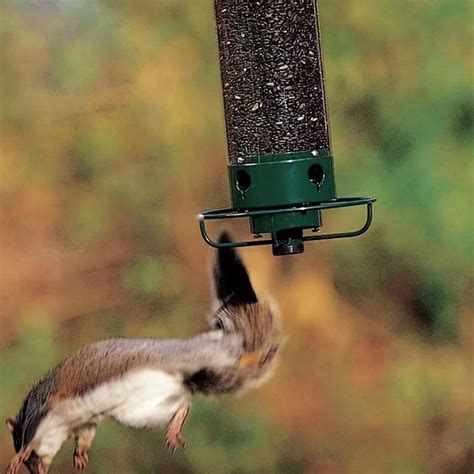 Spinning Squirrel Proof Bird Feeder Squirrel Proof Bird Feeder