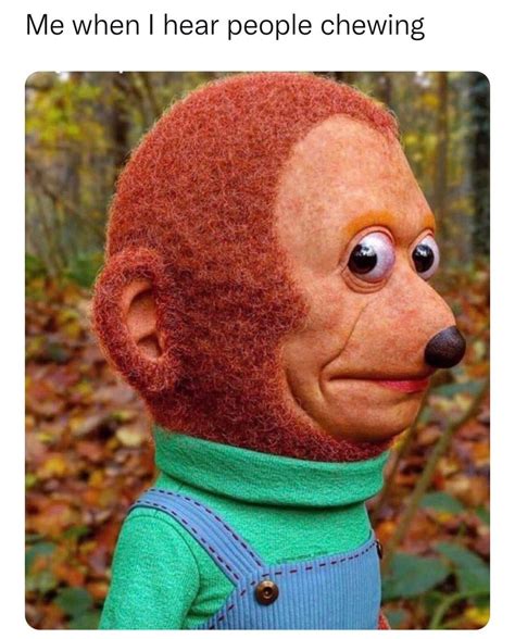 Me when I hear people chewing. - Funny