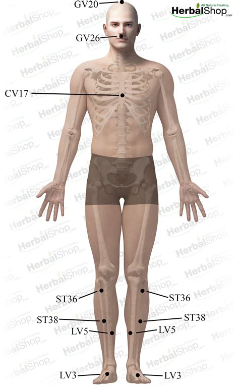 Acupressure Massage for Restless Leg Syndrome – HerbalShop