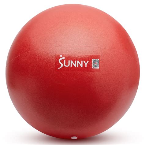 Sunny Health & Fitness Premium 9" Mini Exercise Ball, Extra Thick Anti ...