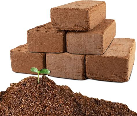 Amazon.com : Coco Coir Brick for Plants-6 Pack Premium Coconut Bricks ...