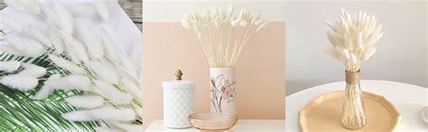 Vaso Alto In Ceramica 40 Cm - Bianco, Per Erba Di Pampa O Fiori Secchi, Decorativo - Foto 5