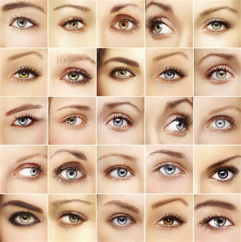 Different types of eye shapes names - gbden