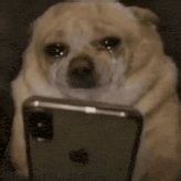 I hate having to get off vr early, like i wanna enjoy my time with friends all night