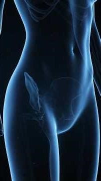 Why Anal and Vaginal Sex Feel Different