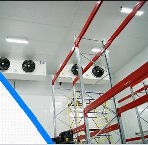 [Hot Item] Fruit Vegetable Cold Storage Project Vegetables Blaster Freezer Room Panels Freezer Room Cold Storage