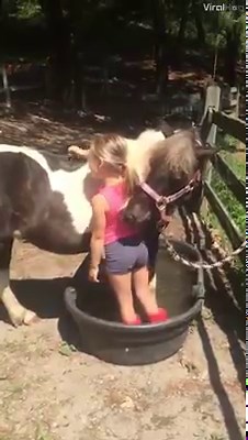 I'll scratch your back if you scratch mine 😅🐴 via ViralHog | UNILAD