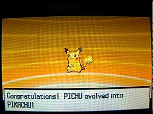 pokemon black and white pichu evolves