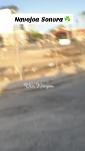 Viva Navojoa #Navojoa | Viva Navojoa