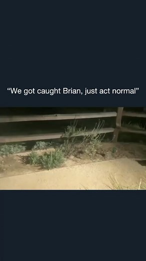 😩😂 | Shirley Denise Moore