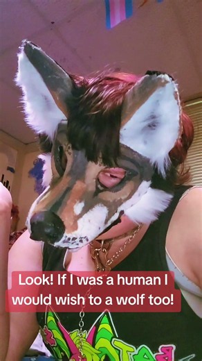 I love being a silly wolp :3 #tboy #boytherian #wolftherian #transmasc #adulttherian