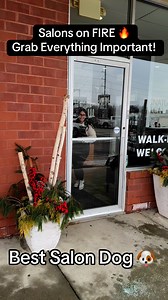 1.6K views · 31 reactions | Salons on fire! ‍♀️#platinumblonde #blondebalayage #modernsalon #hairoftheday #blondeombre #platinum blonde hair #imallaboutdahair #hairgoals #styleinspiration #behindthechair #olaplex #olaplextreatment #btcpics #shorthair #longhair #haircolor | Signature Salon | Facebook