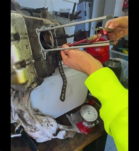 rimontaggio cilindro e pistone X-Max 250 #faidate #scooter #youtubeshorts #yamaha #shortvideo