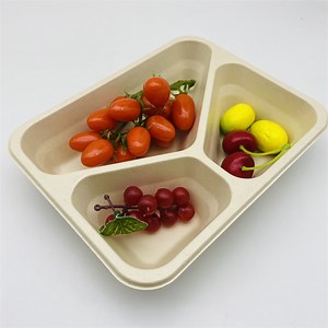 [Hot Item] Biodegradable Food Packaging Lunch Box