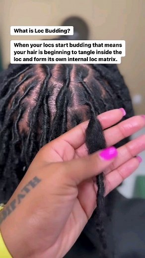 499K views · 27 reactions | Let’s Talk ✨ Loc Budding ✨ . . What is...