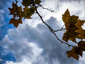 Αίθριος σήμερα ο καιρός: Πού αναμένονται βροχές - ΤΑ ΝΕΑ