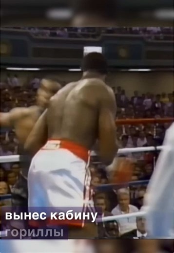 FightSportes🏅 (@fightsportes)’s videos with оригинальный звук - FightSportes🏅