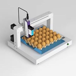[Hot Item] High Quality Automatic Tij Printer Egg Inkjet Machine for Continuous Coding Expiration Date Egg Stamping Inkjet Marking Machine