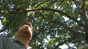 🔥Hot 2023 🔥Magic Funny Bird Caller Tongue Tricks Whistle Buy Now : https://ppet.shop/products/bird-whistle-that-fits-inside-mouth-hiden-magic-tweeting-noisemaker-toy-tricks-gag-bird-caller-bird-whistles-entertainment-tools | Funny Video Mercedes Benz