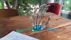 We are passionate about designing great software at 3D4Medical, so all of our teams are involved from start to finish. Take a look behind-the-scenes at how this collaboration lets us create our award-winning technology! | Complete Anatomy