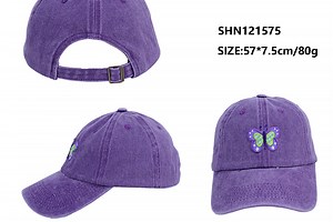 [Hot Item] Baseball Cap for Woman Cute Old Style Pattern Embroidery Purple Cartoon Soft Top Summer Sports Caps