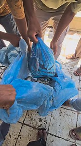 25 reactions | purse seine net boats carrying fish catch #fishingnet | Zami Akbar | Facebook