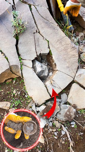 Moments of finding treasure by the stream | Gold mine