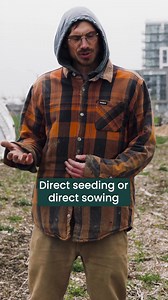 🌱What is direct sowing? 💚 Direct sowing, or direct seeding, is the process of sowing seeds directly into soil outdoors. Direct sowing is the fastest and easiest method to grow from seed, but it’s not right for all seeds. We visited Fresh City Farms in north Toronto to get all the dirt on which seeds you can direct sow and which ones you can't! ⬇️ 🌱 Seeds that can’t handle a light frost, and need warm temperatures plus a longer growing season are best started indoors 🍅 This gives them enough 