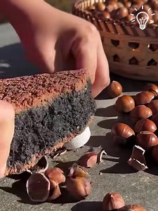 1.8K views | Master Walnut Cracking: Top Hacks You Need! | Artistic Visionaries | Facebook