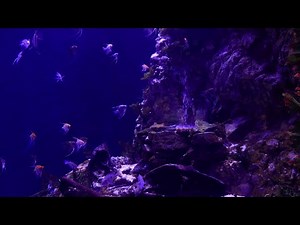 UNDERWATER SOUNDS | Deep Water Bubble Ambience For Sleep / Relaxation | 10 Hours Natural White Noise