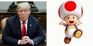 Stormy Daniels's Detailed Description of Donald Trump's Penis Explains a Lot