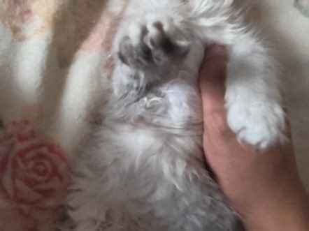 【Hyde米尔森】新作上线，快来看看！