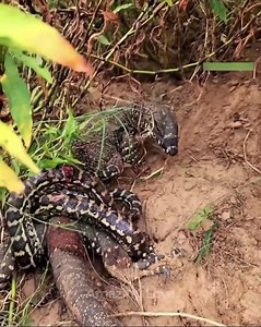 7K views | Chij Onyenucheya on Reels | Facebook