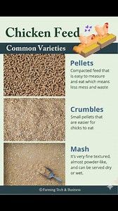 9.4K views · 39 reactions |  Types of Chicken Feed 1. Starter Feed...
