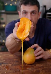 Would you try this?! Freeze-dried mango 🥭😰 This is an S-tier freeze-dryer experiment. It tastes like candy but it's whole fruit. The mango purée will be done in 20-40 hours. #mango #fruitleather #harvestright #freezedryer #homestead