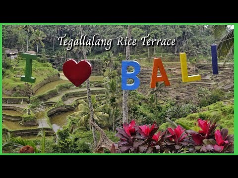 🇮🇩 Bali, Indonesia. Tegallalang rice terrace. Cinemátic drone footage.